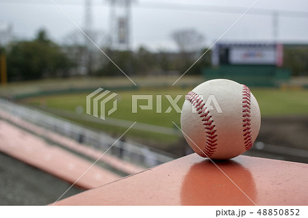 三塁側からバックスクリーン方向を見る 48850852