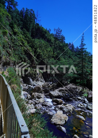 ニュージーランドのカランガハケ渓谷をハイキング ニュージーランドのカランガハケ渓谷をハイキング 48851822