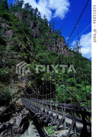 ニュージーランドのカランガハケ渓谷をハイキング ニュージーランドのカランガハケ渓谷をハイキング 48851835