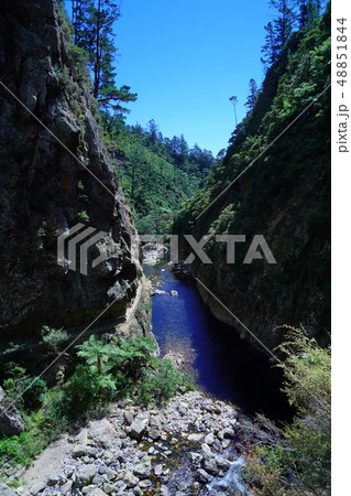 ニュージーランドのカランガハケ渓谷をハイキング 48851844