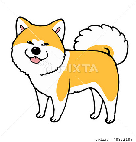 立っている秋田犬のイラスト素材 48852185 Pixta