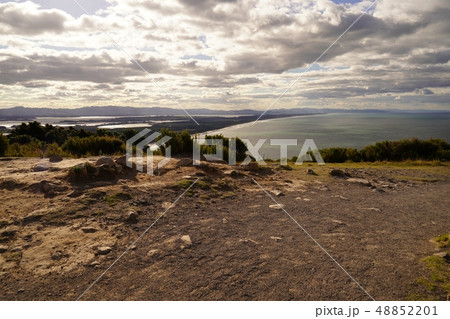 ニュージーランドのマウントマウンガヌイとタウランガ市街 48852201