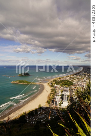 ニュージーランドのマウントマウンガヌイとタウランガ市街 48852205