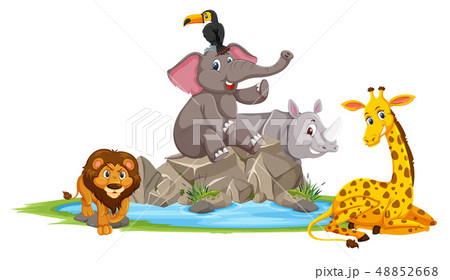 Wild animals in nature Wild animals in nature 48852668