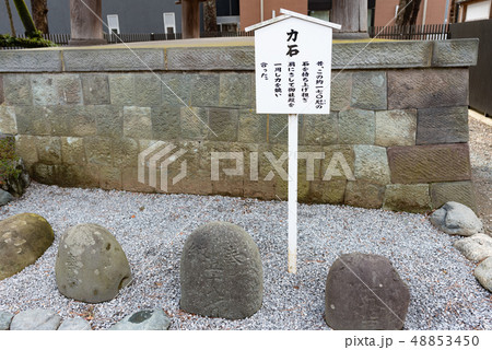 葛飾八幡宮 葛飾八幡宮 48853450