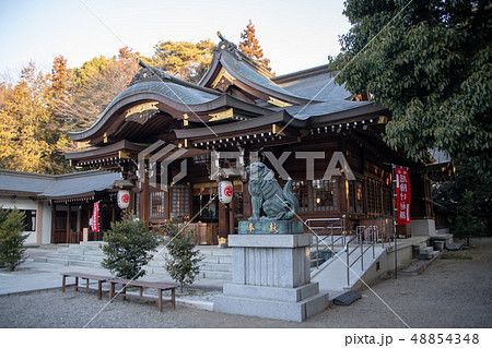 進雄神社 拝殿 本殿 群馬県高崎市 進雄神社 拝殿 本殿 群馬県高崎市 48854348