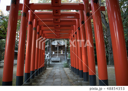進雄神社 天王稲荷神社 群馬県高崎市 進雄神社 天王稲荷神社 群馬県高崎市 48854353
