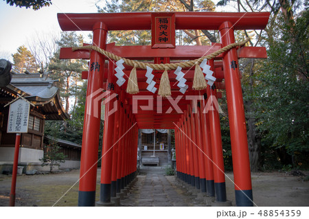 進雄神社 天王稲荷神社　群馬県高崎市 48854359