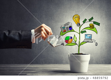 Drawn income tree in white pot for business investment savings and making money Drawn income tree in white pot for business investment savings and making money 48859792