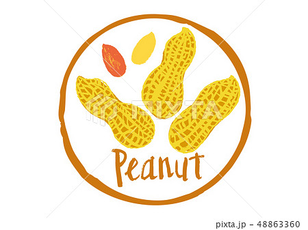 peanut　筆文字 48863360