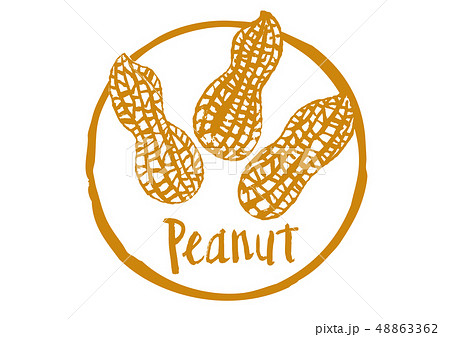 peanut　筆文字 48863362