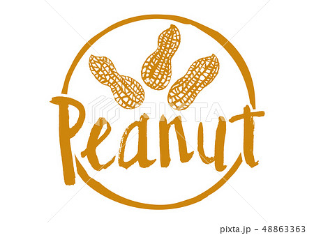 peanut　筆文字 48863363