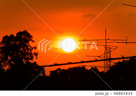 Silhouette of sunset with television antenna Silhouette of sunset with television antenna 48863834