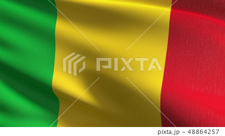 Mali national flag blowing in the wind isolated. 48864257
