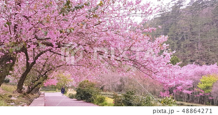 武陵農場 台湾 景色 48864271