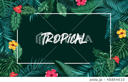 Tropical forest with rectangle frame on black back Tropical forest with rectangle frame on black back 48864610