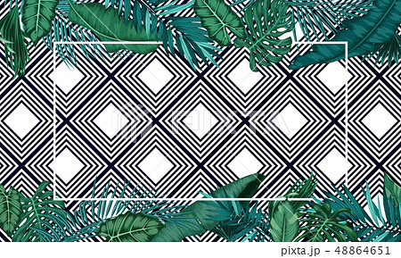 Tropical forest background Tropical forest background 48864651