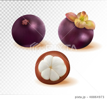 Set of mangosteen images. Quality realistic vector, 3d illustration 48864973