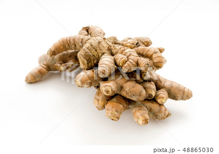 春ウコン 48865030