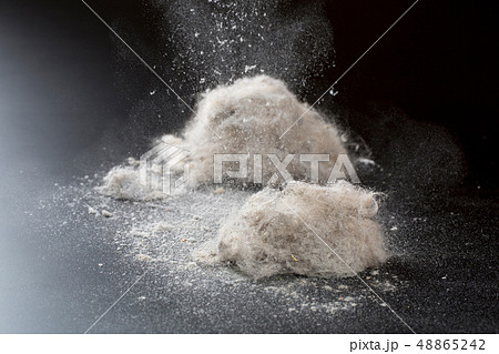 掃除機に溜まったホコリ 掃除機に溜まったホコリ 48865242