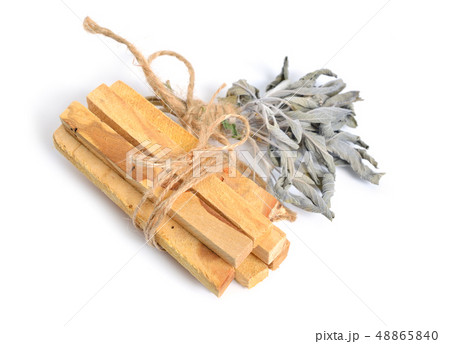 Palo santo, Holy Wood sticks with sage isolated on Palo santo, Holy Wood sticks with sage isolated on 48865840