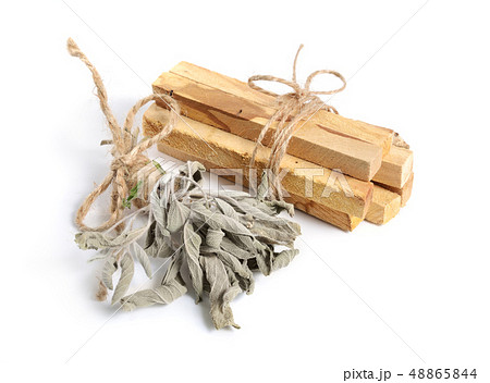 Palo santo, Holy Wood sticks with sage isolated on Palo santo, Holy Wood sticks with sage isolated on 48865844