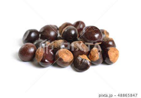 Guarana seed Paullinia cupana. Isolated on white 48865847