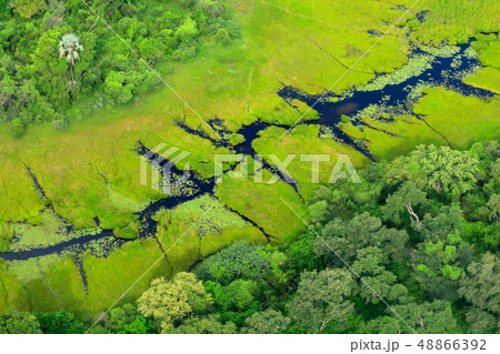 Aerial landscape in Okavango delta, Botswana 48866392