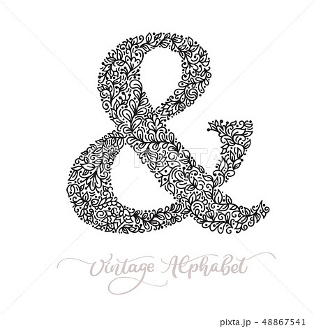 Vector monoline sign - ampersand. Vintage logo monogram Concept Icon. Black ink hand drawn 48867541