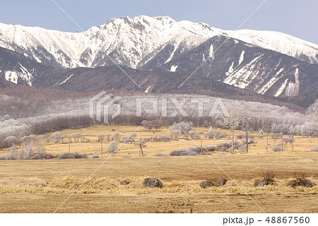 厳冬の信州、八ヶ岳連峰と山麓に広がる樹氷に覆われた長野県野辺山高原の山林 48867560