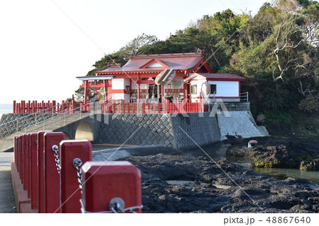 鹿児島 48867640
