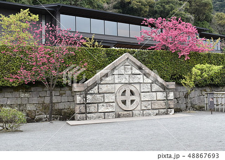 鹿児島 48867693