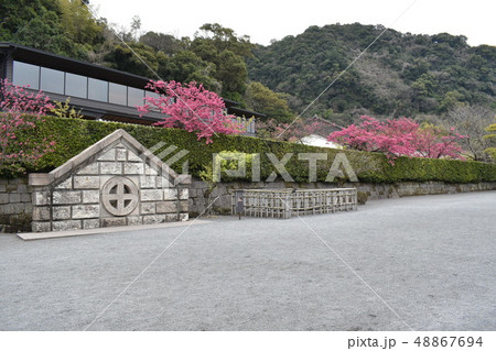 鹿児島 48867694