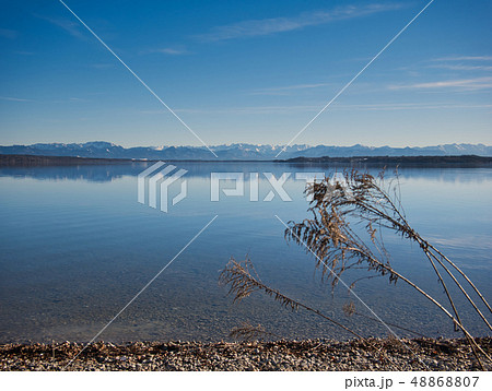 The lake shore with the Alps in the background 48868807