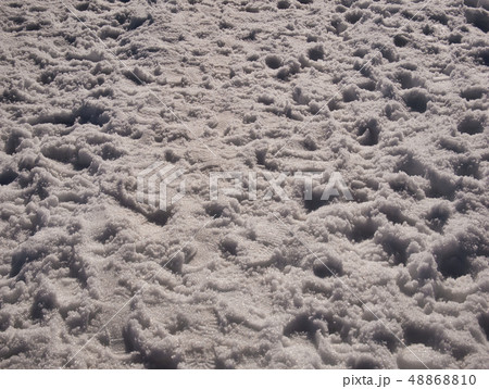 Several footprints in fresh snow 48868810