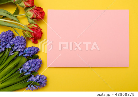 Red tulips and blue hyacinth flowers as present card on a colored background with copyspace. Red tulips and blue hyacinth flowers as present card on a colored background with copyspace. 48868879