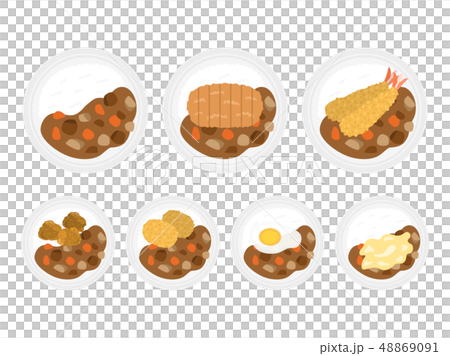 カレーライス カレーライス 48869091