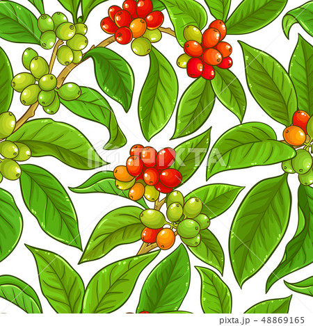 coffee vector pattern 48869165