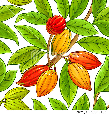 cocoa vector pattern 48869167