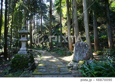河津三郎祐泰の血塚 48870090