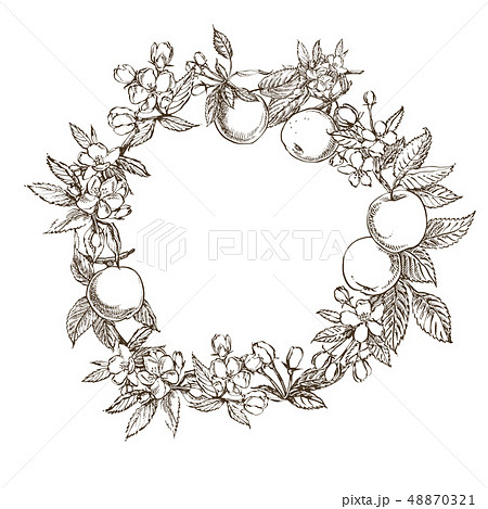 Apple illustration. Hand drawn patterns with textured apple illustration. Vintage botanical hand 48870321