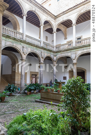 XV palace in Plasencia (Spain) 48870524