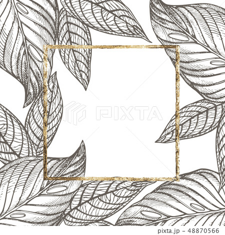 Summer tropical leaves design with gold frame. Floral background illustration. Invitation or card 48870566