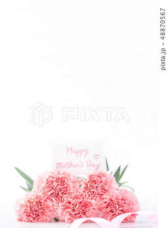 母の日 マザーズデー マザーズデイ 48870567