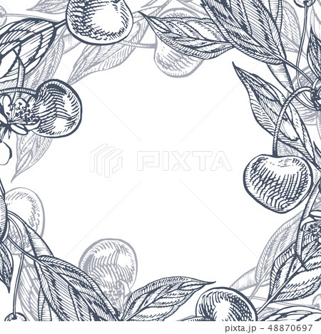Cherry set. Hand drawn berry isolated on white background. Summer fruit engraved style illustration 48870697