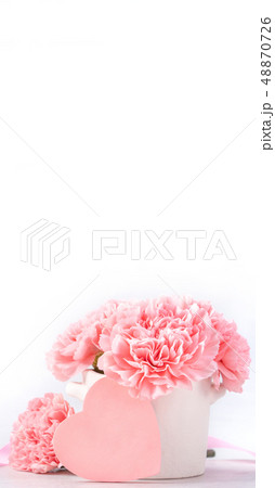 母の日 マザーズデー マザーズデイ 48870726