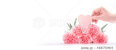 母の日 マザーズデー マザーズデイ 48870964