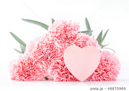 母の日 マザーズデー マザーズデイ 48870969