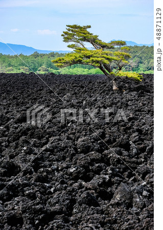 焼走り熔岩流の風景 焼走り熔岩流の風景 48871129