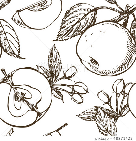 Apple illustration. Hand drawn patterns with textured apple illustration. Vintage botanical hand 48871425
